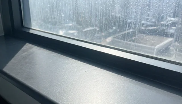 网络工程选型与维护建议指南